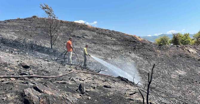 Alanya’da ağaçlık alanda çıkan yangında 10 dönüm alan ve sera zarar gördü