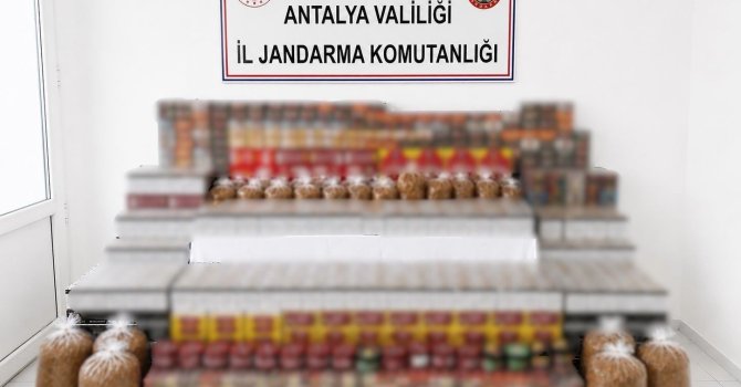 Manavgat’ta 36 bin makaron, 35 kilo kıyılmış tütün ele geçirildi
