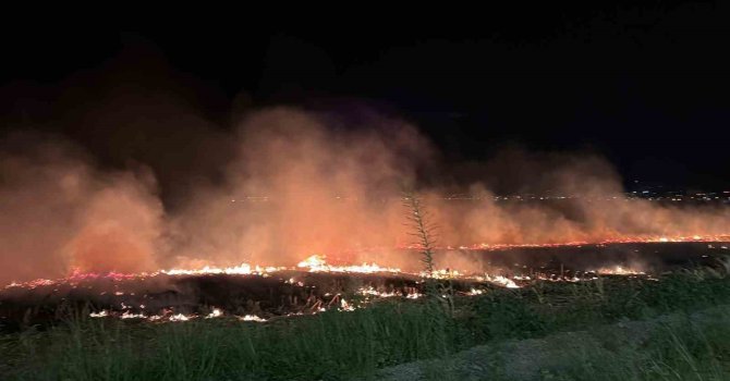 Osmaniye’de mısır tarlasında çıkan anız yangını söndürüldü