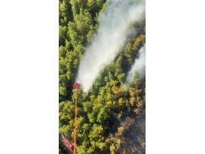 Manavgat’taki orman yangını kontrol altına alındı