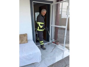 Arsuz’da eve giren yılanı itfaiye yakaladı