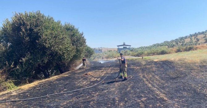 Antakya’da otluk alan yangını kontrol altına alındı