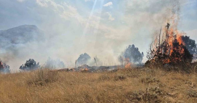 Isparta’da ormanlık alanda çıkan yangın 6 saatte söndürüldü