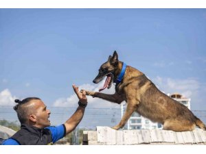 K-9 köpekleri Mersin itfaiyesinin gözü kulağı oluyor