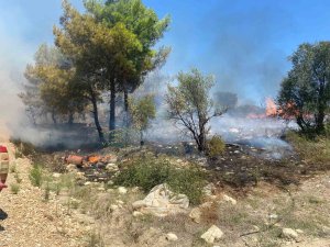 Antalya’da  zirai alanda çıkan yangın büyümeden söndürüldü