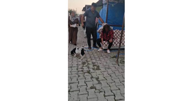 Konteyner kentte imam nikahlı koca dehşeti: Karısı ve kızıyla birlikte toplam 4 kişiyi palayla yaraladı