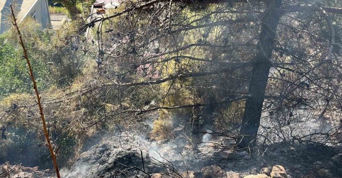 Alanya’da çalılık alanda çıkan yangın söndürüldü