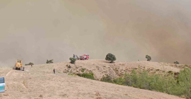 Kozan’da orman yangını: 5 helikopter, 2 uçakla mücadele sürüyor
