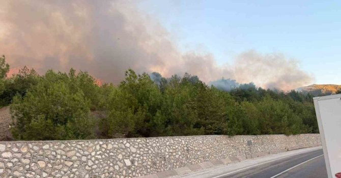 Adana’daki orman yangını kontrol altında