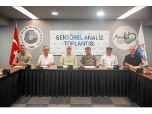 Zeytinde rekolte beklentisi yüzde 40 arttı