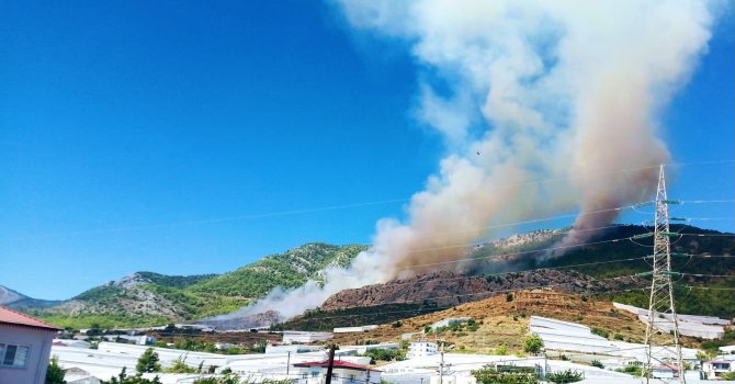 Mersin’de orman yangını: Alevler rüzgarın etkisiyle yayılıyor