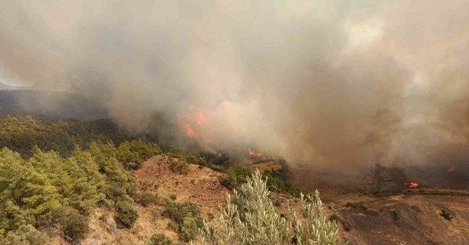 Kumluca’da ağaçlık alanda yangın