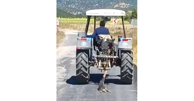 Köpeği traktöre bağlayarak sürükledi