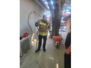 Antakya’da eve giren yılan ekipler tarafından yakalandı
