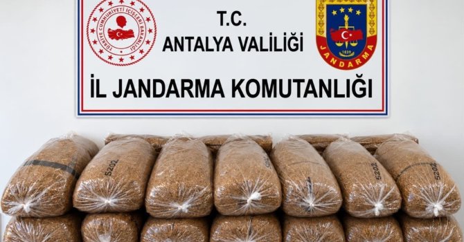 Alanya’da 144 kilo kaçak tütün ele geçirildi