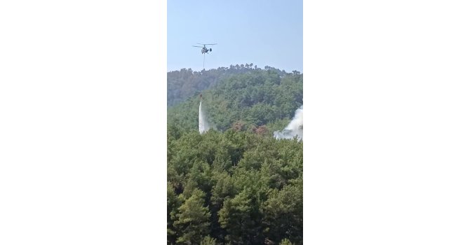 Soğutma çalışmalarının sürdüğü ormanlık alanda yeniden yangın çıktı