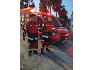 Antakya ve Reyhanlı’da yerleşim yerlerine giren yılanlar yakalandı