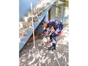 İskenderun’da evin içerisinde görülen yılan yakalandı