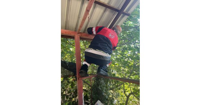 Vatandaşları tedirgin eden 1 buçuk metre yılanı itfaiye yakaladı