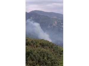 Hatay’da orman yangını: Ekiplerin müdahalesi başladı
