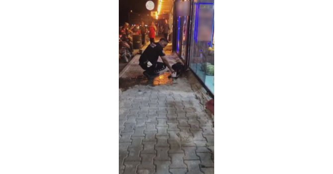 Silahla vurulan sokak köpeğine polis ekipleri sahip çıktı