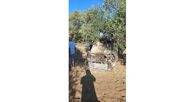 Altınözü’nde otomobil zeytinliğe uçtu: 1 yaralı