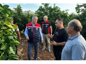 Adana’da dolu vuran tarım arazilerinde incelemeler başladı