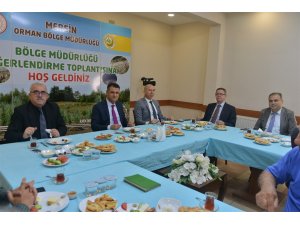 Akduman: "18 yılda 369 milyon fidanı toprakla buluşturduk"