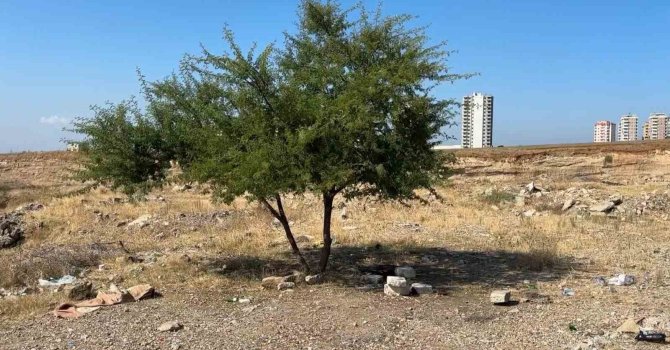 Adana’da genç şahıs boş arazide ölü bulundu