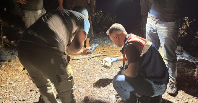 Gazipaşa’da ormanlık alanda kafatası bulundu