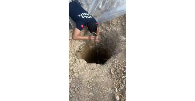 Şantiyedeki kuyuya düşen köpeği itfaiye kurtardı