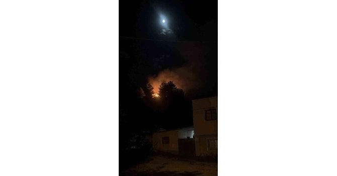 Havai fişeğin düştüğü ormanlık alandan alevler yükseldi