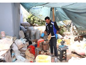 Antalya’da merdiven altı işletmeye denetim: Yarım ton keçiboynuzuna el konuldu