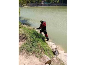 Reyhanlı’da göl kenarında görülen yılan yakalandı