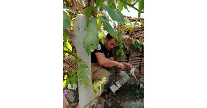 Vanaya sıkışarak mahsur kalan yavru kedi, itfaiye ekiplerinin çalışmasıyla kurtarıldı