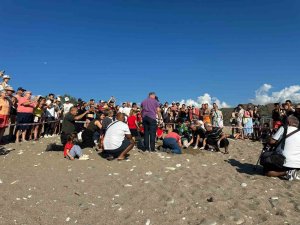 Kemer’de son caretta caretta yuvası açıldı