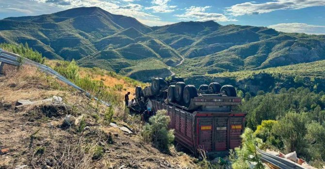 Yem yüklü tır şarampole yuvarlandı: 1 ölü