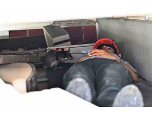 Kahraman fareler, enkaz altında kalanları kurtarmaya giden ekiplerin ‘gözü’ olacak