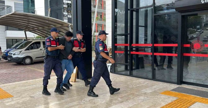 Alanya’da kuşlara yönelik vahşet kamerada: Birinin kafasını ağzıyla, diğerinin bıçakla kesti