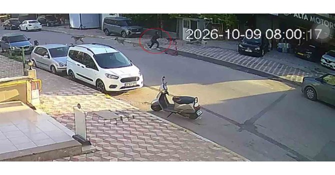 Okul yolunda sokak köpeklerinin saldırısına uğrayan kız çocuğu yaralandı
