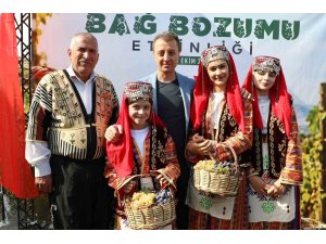 Kahramanmaraş’ta geleneksel bağ bozumu heyecanı