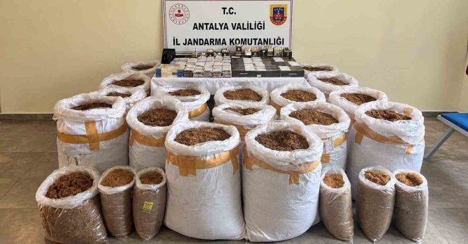 Antalya’da kaçak tütün operasyonu: 750 kilo tütün ele geçirildi