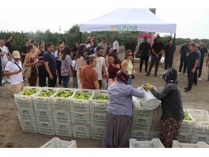 Sunar Yatırım’dan Lezzet Festivali kapsamında hasat etkinliği