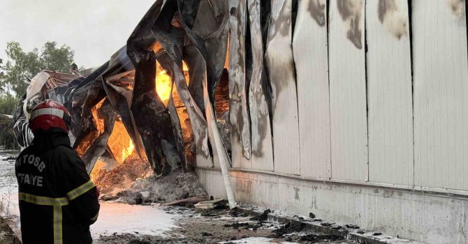 Mersin’de tütün ve makaron fabrikasının 3 deposunda yangın