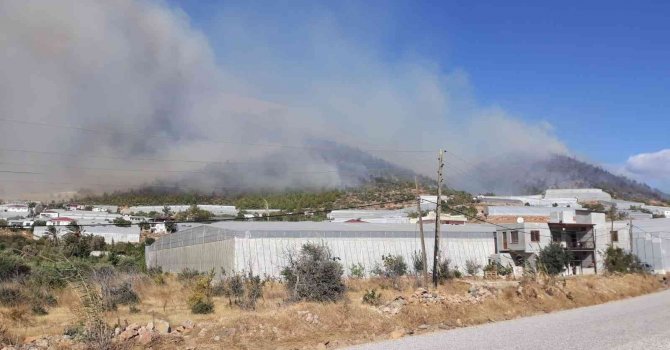 Mersin’de orman yangını