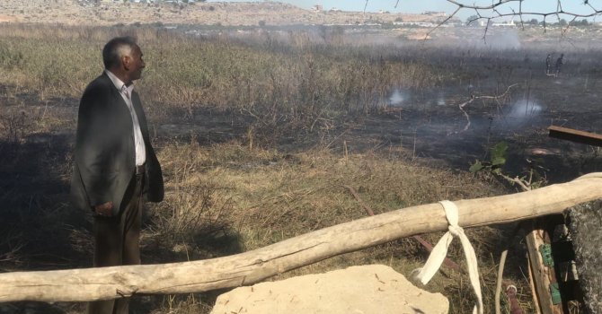 Antalya’da seraları tehdit eden sazlık yangını