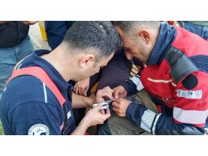 İskenderun’da ağaca takılan güvercin itfaiye ekiplerince kurtarıldı