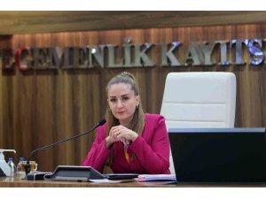 Başkan Vekili Özdemir: "Altıntaş çanağında biriken suyu denize ulaştırmak istiyoruz"