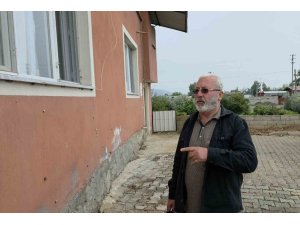 Depremin ardından ortaya çıkan salyangozlar mahalleyi ele geçirdi