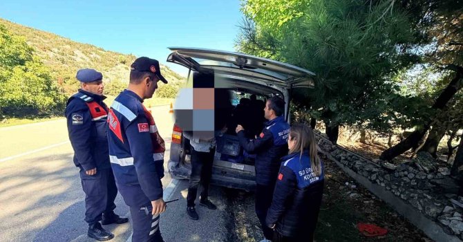 Eğirdir’de yol denetiminde 50 kilo gümüşi havuz balığı ele geçirildi